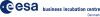ESA BIC Denmark logo